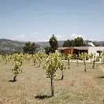 Semesterbostad Souto Village - Douro Verde - By Fero *